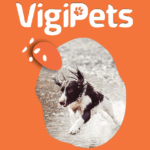Service VIGIPETS : toutes les infos utiles