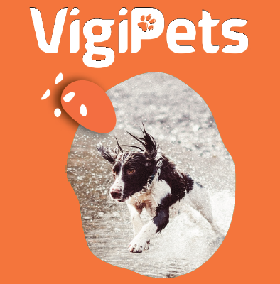 Service VIGIPETS : toutes les infos utiles